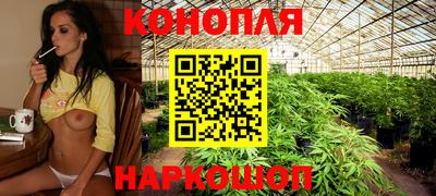 прущие грибы Бугуруслан