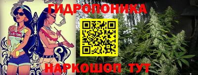 прущие грибы Бугуруслан